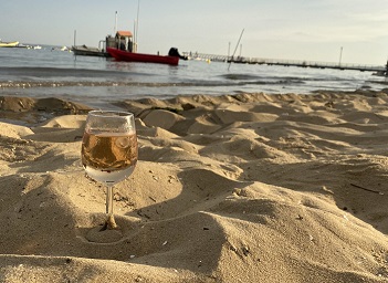 Photo of Nos vins